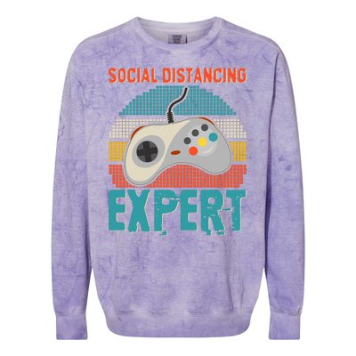 Retro Social Distancing Expert Video Gamer Colorblast Crewneck Sweatshirt