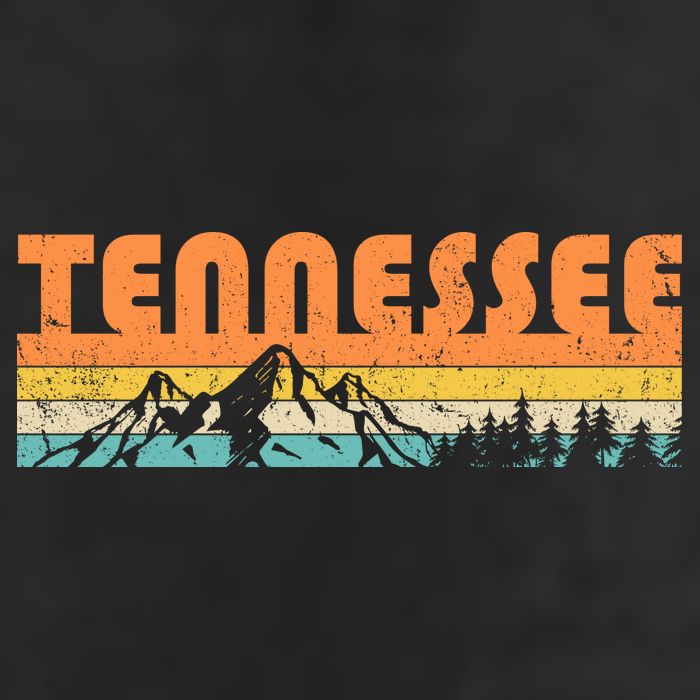 Retro Tennessee Wilderness Adult Drive Performance Visor