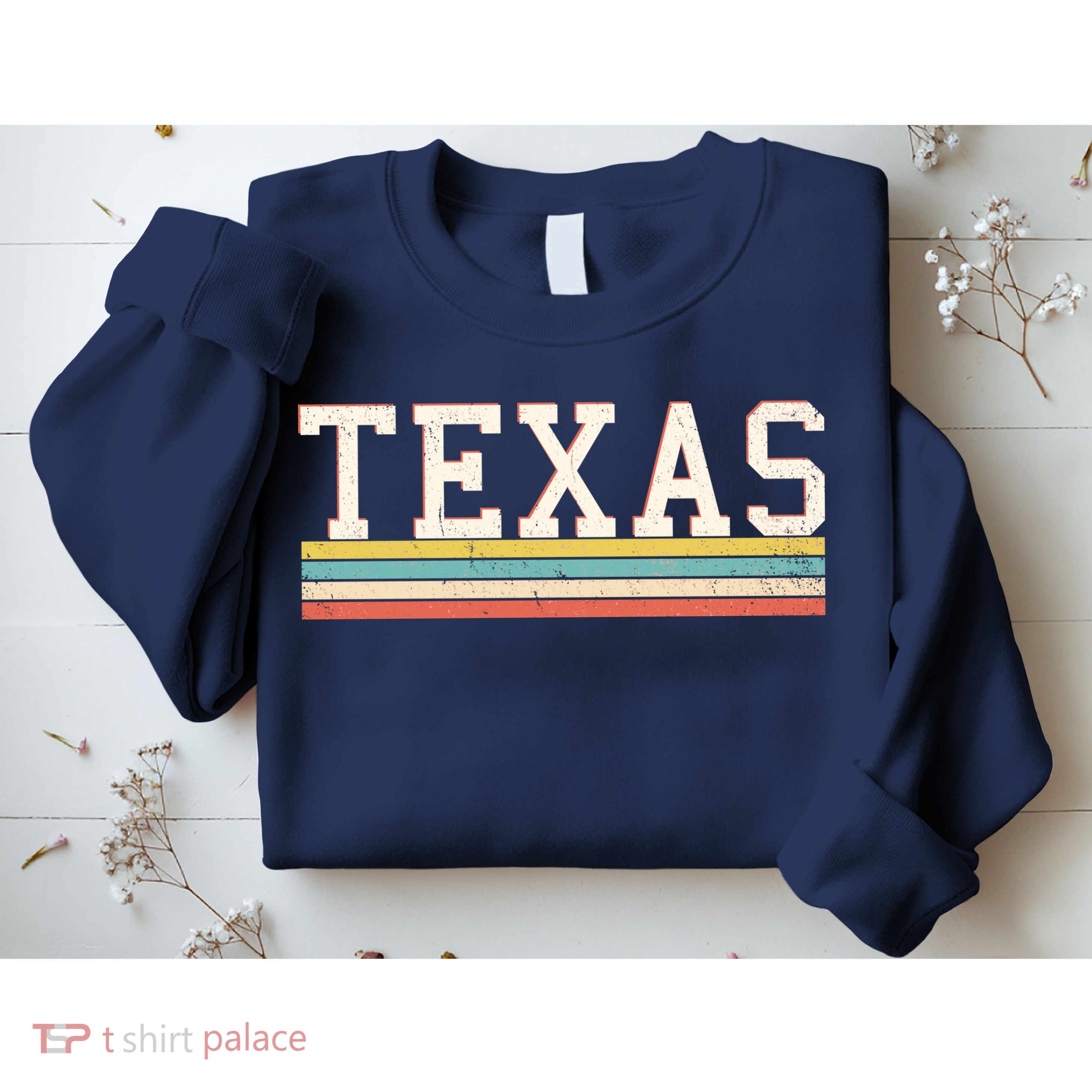 Retro Texas Sweatshirt