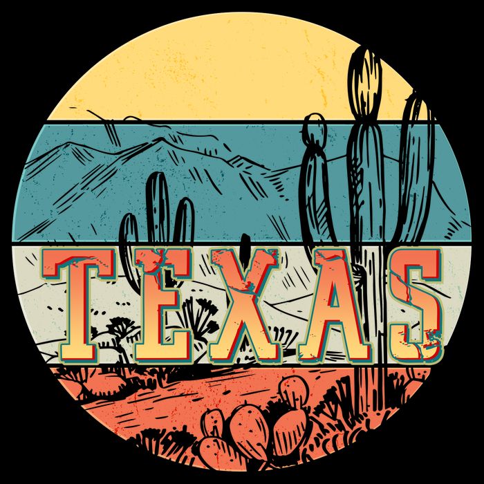 Retro Texas Desert Emblem Kids T-Shirt