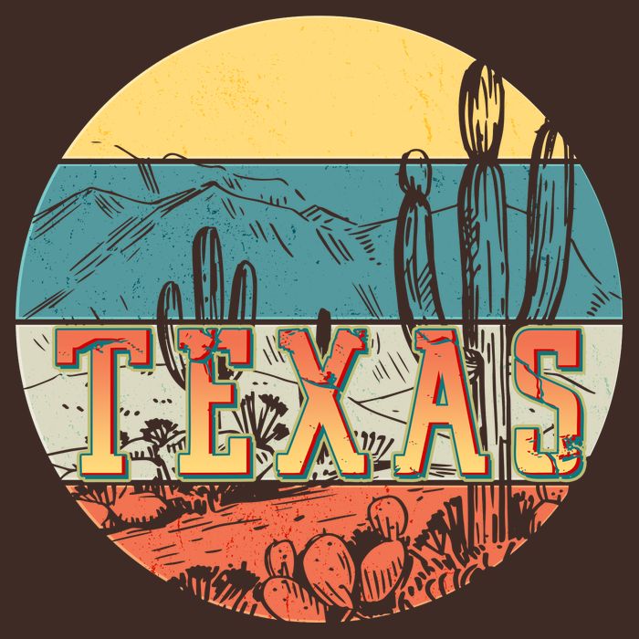 Retro Texas Desert Emblem Beanie