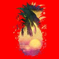 Retro Tropical Pineapple Mesh Reversible Basketball Jersey Tank