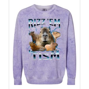 Rizz Em With The Tism Capybara Funny Oddly Dank Meme Colorblast Crewneck Sweatshirt