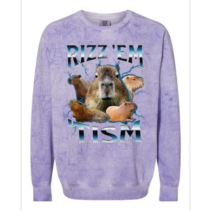 Rizz Em With The Tism Capybara Funny Oddly Dank Meme Colorblast Crewneck Sweatshirt