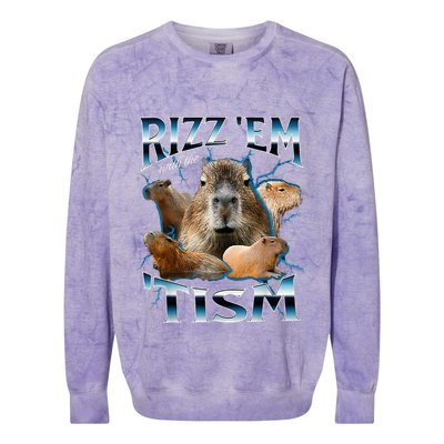 Rizz Em With The Tism Capybara Funny Oddly Dank Colorblast Crewneck Sweatshirt