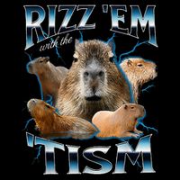 Rizz Em With The Tism Capybara Funny Oddly Dank Toddler T-Shirt
