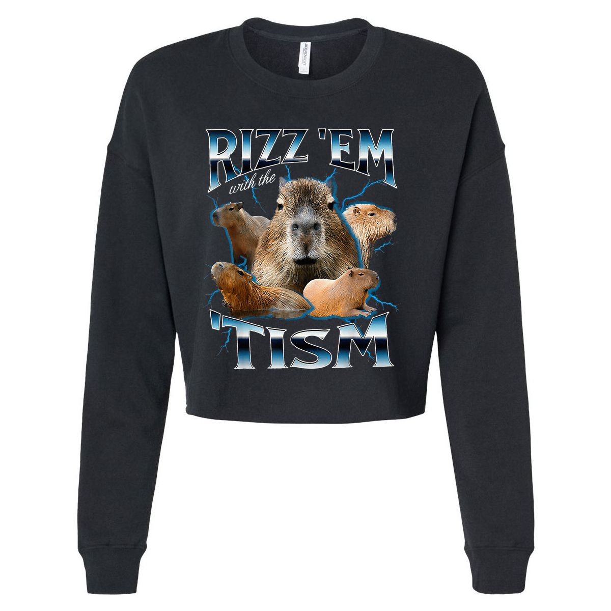 Rizz Em With The Tism Capybara Funny Oddly Dank Cropped Pullover Crew