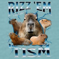Rizz Em With The Tism Capybara Funny Oddly Dank Sueded Cloud Jersey T-Shirt