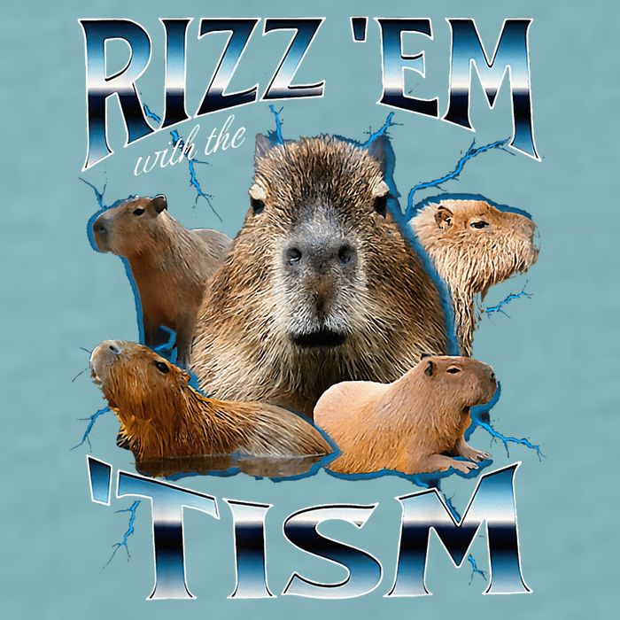 Rizz Em With The Tism Capybara Funny Oddly Dank Sueded Cloud Jersey T-Shirt