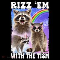 Rizz Em With The Tism Rizzler Ohio Rizz 16 in Basic Backpack