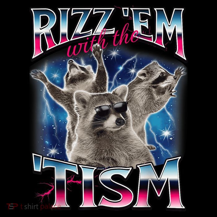 Rizz Em With The Tism Meme Autistic Raccoon Funny Stripe Pom Pom Beanie