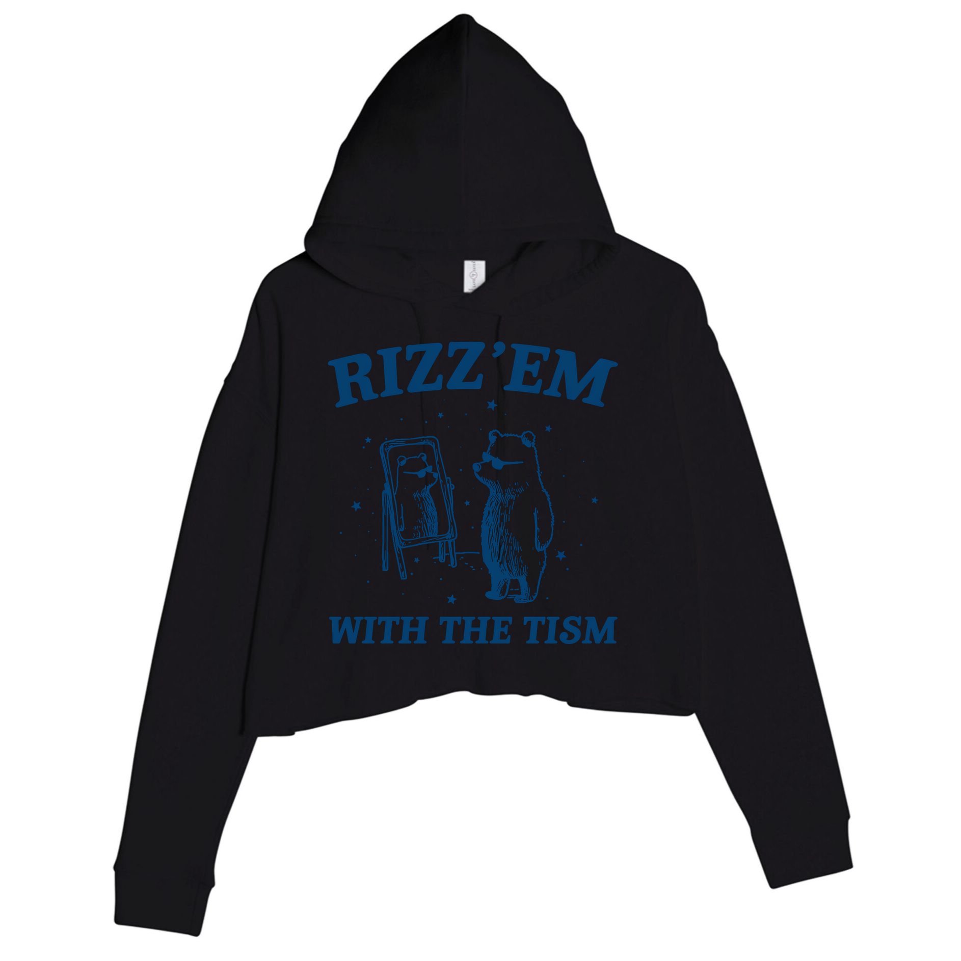 Rizz Em With The Tism Autism Bear Vintage Meme Humor Gift Crop Fleece Hoodie
