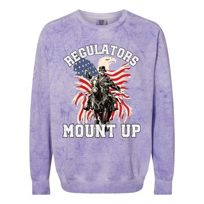 Regulators Funny 4th Of July Independence Day Eagle Colorblast Crewneck Sweatshirt