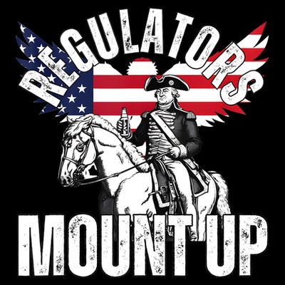 Regulators Funny 4th Of July Independence Day Eagle T-Shirt