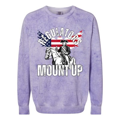 Regulators Funny 4th Of July Independence Day Eagle Colorblast Crewneck Sweatshirt