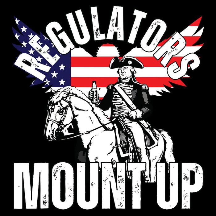 Regulators Funny 4th Of July Independence Day Eagle 7-Panel Snapback Hat