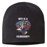 Regulators Funny 4th Of July Independence Day Eagle Sustainable Beanie