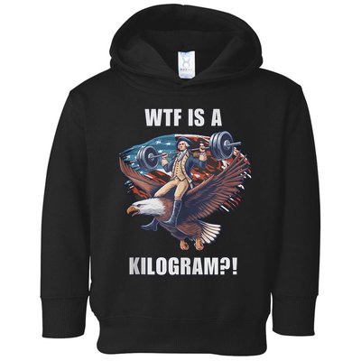Regulators Funny 4th Of July Independence Day Eagle Toddler Hoodie