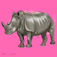 Rhinoceros From A Splash Stripe Pom Pom Beanie