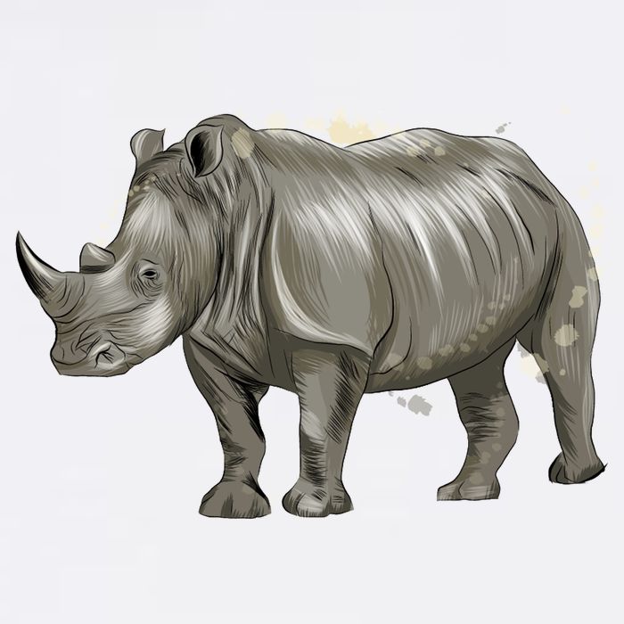 Rhinoceros From A Splash Flat Bill Trucker Hat