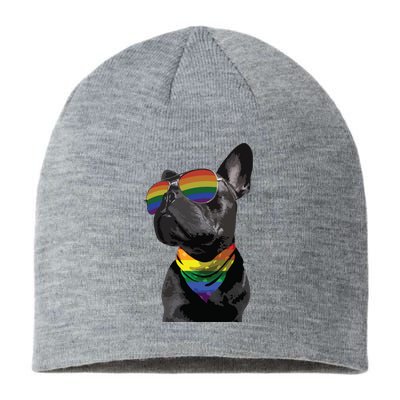 Rainbow French Bulldog Lovers Frenchie LGBTQ Pride Month Sustainable Beanie