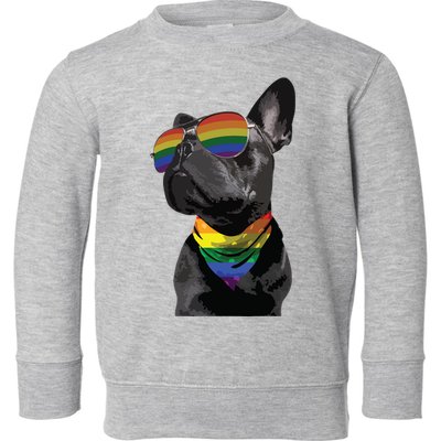 Rainbow French Bulldog Lovers Frenchie LGBTQ Pride Month Toddler Sweatshirt