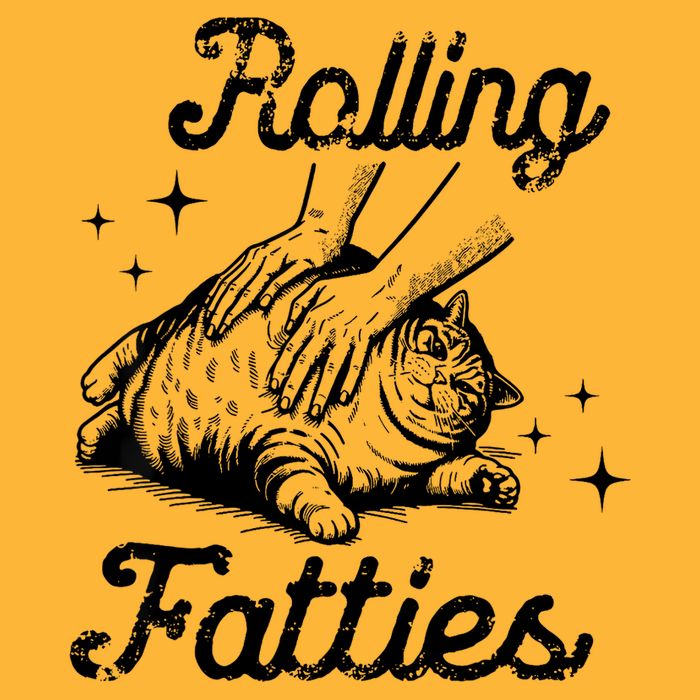 Rolling Fatties Cat Funny Cute Cat Lover Kitten Owner Kitty Pom Pom 12in Knit Beanie