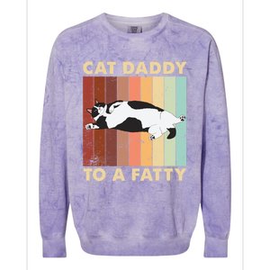 Retro Fat Chonk Dad Funny Cat Daddy To A Fatty Colorblast Crewneck Sweatshirt