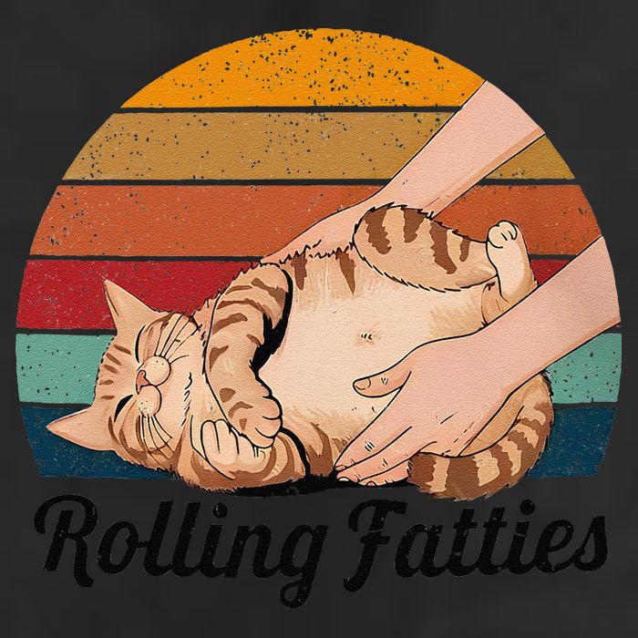 Rolling Fatties Cat Lover Humor Pet Cat Kitten Owner 11oz C Handle Ceramic Mug