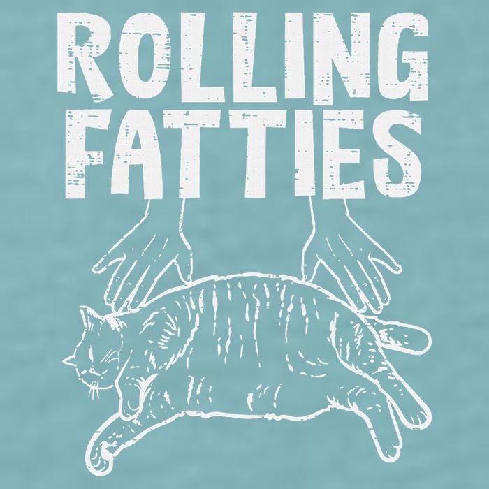 Rolling Fatties Cat Funny Fat Kitten Sueded Cloud Jersey T-Shirt