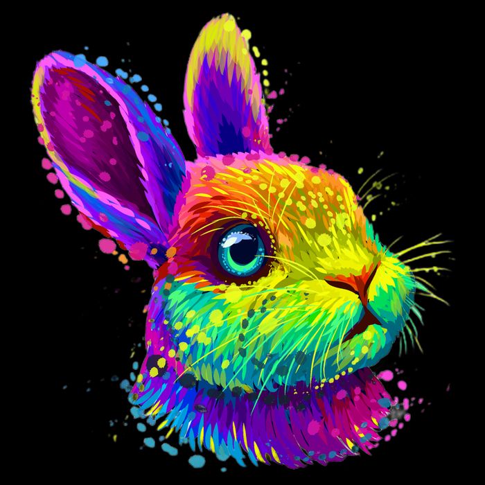 Rabbit Face Colorful Water Color Abstract Head Full Zip Hoodie