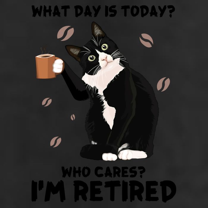 Retired Funny Cat Retirement 7 Panel Mesh Trucker Snapback Hat