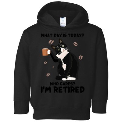 Retired Funny Cat Retirement Toddler Hoodie