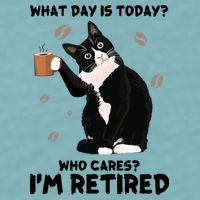 Retired Funny Cat Retirement Sueded Cloud Jersey T-Shirt