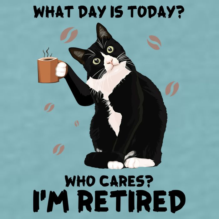 Retired Funny Cat Retirement Sueded Cloud Jersey T-Shirt