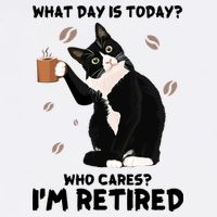 Retired Funny Cat Retirement Bucket Hat