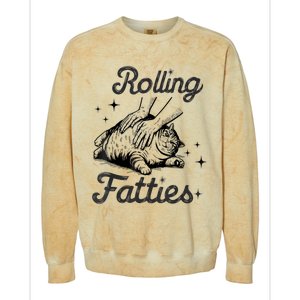 Rolling Fatties Cat Funny Cute Cat Lover Kitten Owner Kitty Colorblast Crewneck Sweatshirt