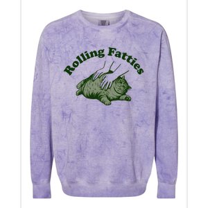 Rolling Fatties Cat Hoodie Humorous Fat Cat Colorblast Crewneck Sweatshirt