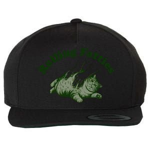 Rolling Fatties Cat Hoodie Humorous Fat Cat Wool Snapback Cap