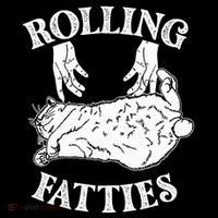 Rolling Fatties Cat Lover Kitten Owner Kitty T-Shirt