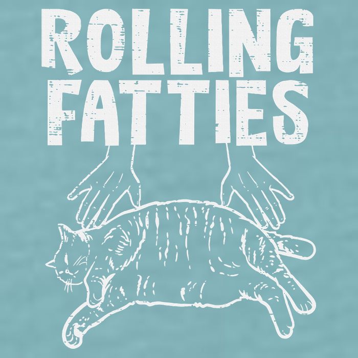 Rolling Fatties Cat Funny Fat Kitten Sueded Cloud Jersey T-Shirt