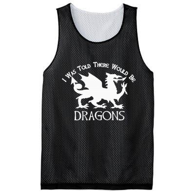 Renaissance Fair Faire Festival Medieval Theme Knight Dragon Mesh Reversible Basketball Jersey Tank