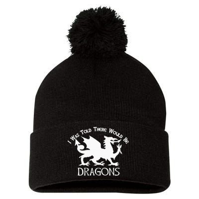 Renaissance Fair Faire Festival Medieval Theme Knight Dragon Pom Pom 12in Knit Beanie