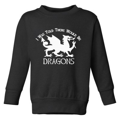 Renaissance Fair Faire Festival Medieval Theme Knight Dragon Toddler Sweatshirt