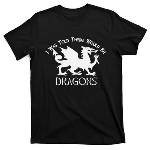 Renaissance Fair Faire Festival Medieval Theme Knight Dragon T-Shirt