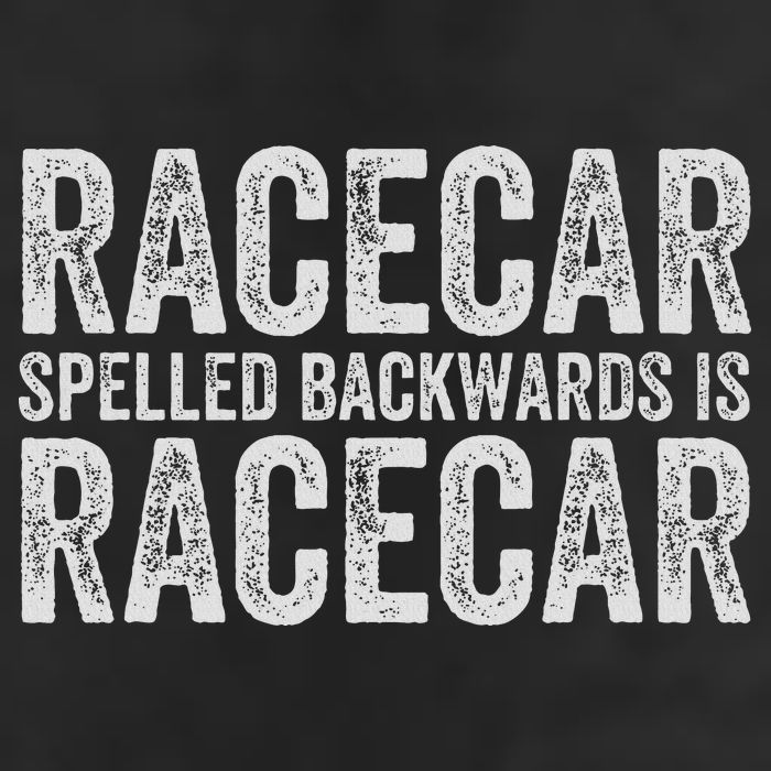 Racecar For Gift Mechanic Fast Race Car Racing Funny Adult Drive Performance Visor
