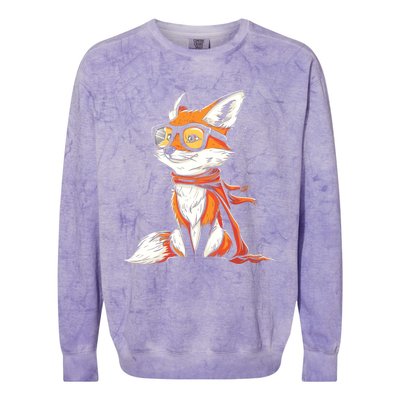 Red Fox Glasses Cute Cartoon Dressed Hipster Fox Gift Colorblast Crewneck Sweatshirt