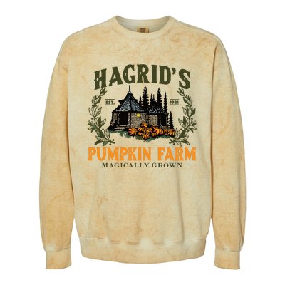 Retro Fall HagridS Pumpkin Farm Patch Autumn Pumpkin Garden Colorblast Crewneck Sweatshirt