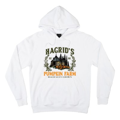 Retro Fall HagridS Pumpkin Farm Patch Autumn Pumpkin Garden Hoodie