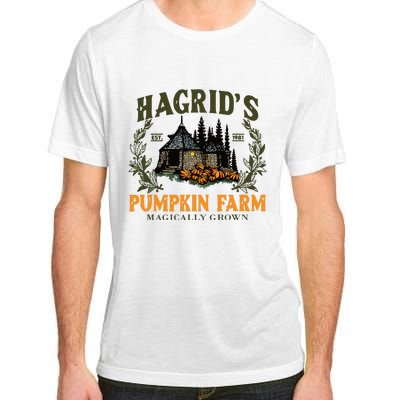 Retro Fall HagridS Pumpkin Farm Patch Autumn Pumpkin Garden Adult ChromaSoft Performance T-Shirt